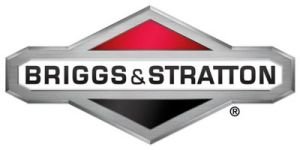 BRIGGS & STRATTON, США