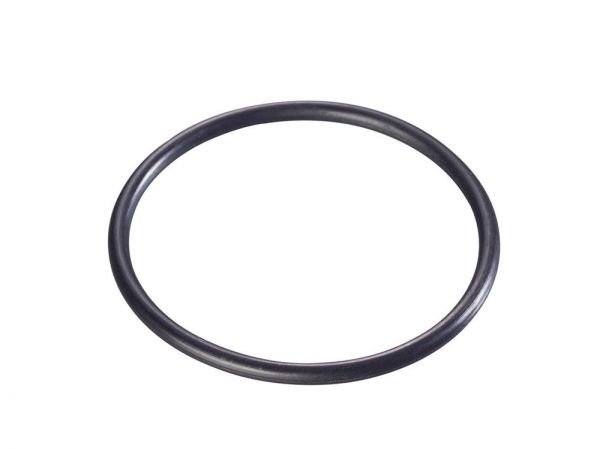 Кольцо резиновое WAGNER (2362875)